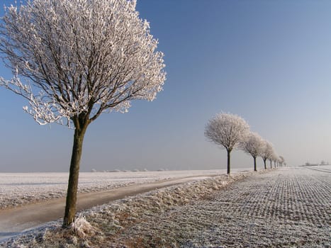 Hoarfrost