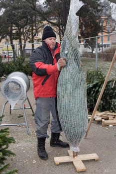 Christmas Tree Sale