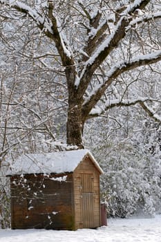 Cabin in the snow