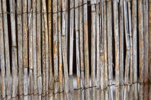 Reed fence