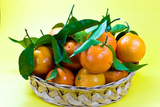 Fresh tangerines 4
