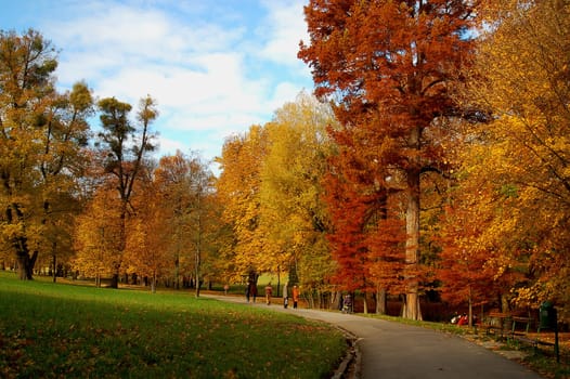 Autumn idyll