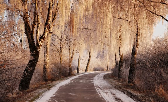 The path of life cannot always be clear and straight,and often shadows fall on it. I wish you,my little mouse,that you always stay in good spirits and know that there are people who will always stand by your side,even if it is not the same.