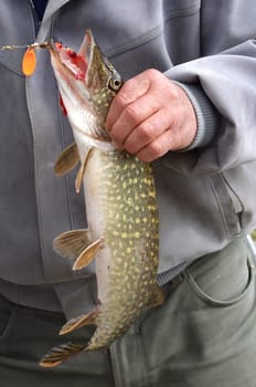 Angler's Luck
