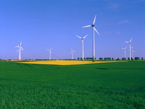 Wind farm