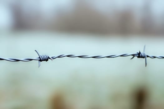 Barbed wire in winter
