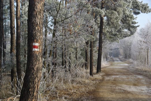 Hiking trail marker 04