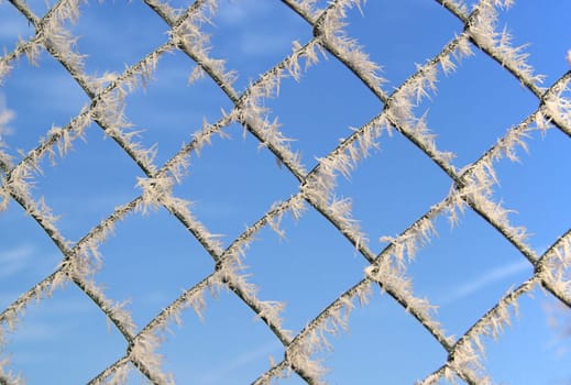 Wire mesh 01