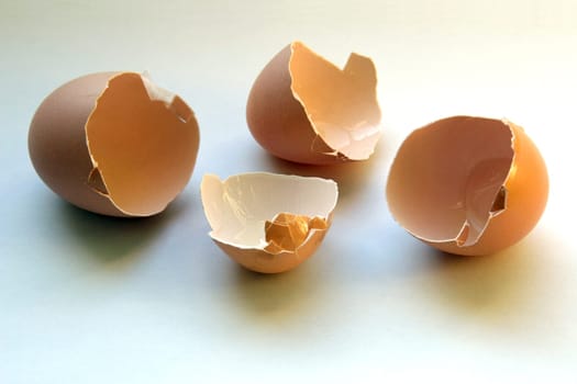 Eggshells
