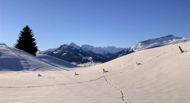 Walser Mountains