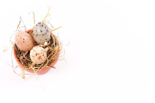 Easter Pot