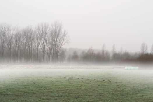 Fog