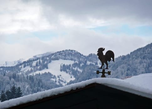 Weathercock