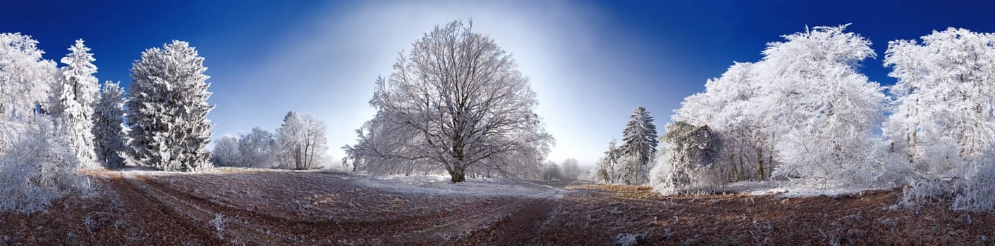 This natural spectacle with icy forest and blue sky could only be seen for a short time. The 360° image is made up of 28 images with PtGui composite.