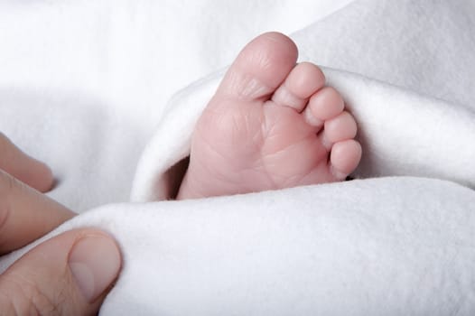 Foot of an infant