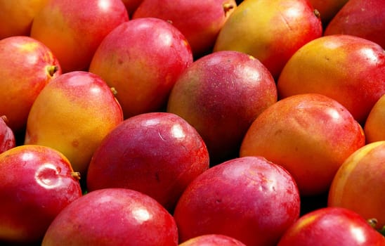 Mangoes