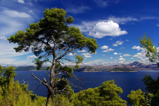Elaphite Islands 24