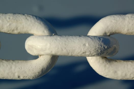 Chain links