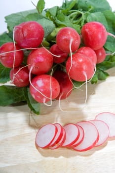 Radish