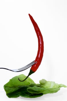 Salad pod1