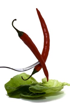 Salad pod2
