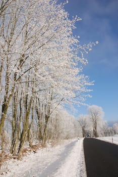 Winter Magic