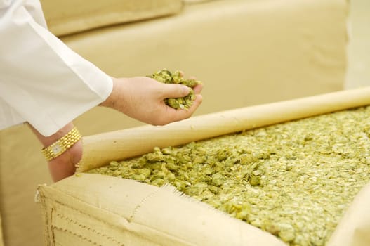 Hops Quality Test