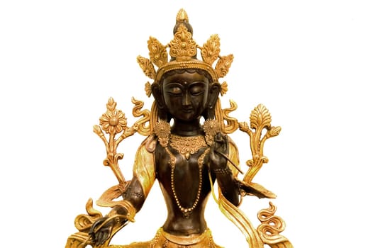Tara sitting