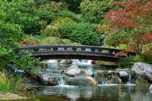The Bridge
