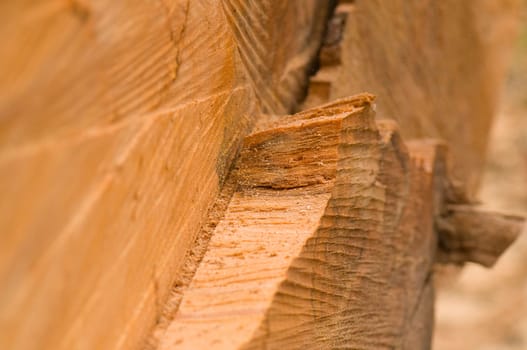 Tree felling