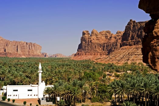 The village of Al Ula is located in the middle of an oasis,nestled between steep cliffs on all sides. Mainly date palms are planted. Saudi Arabia produces 800,000 tons of dates annually,making it No. 3 in the world market (Egypt is the world market).