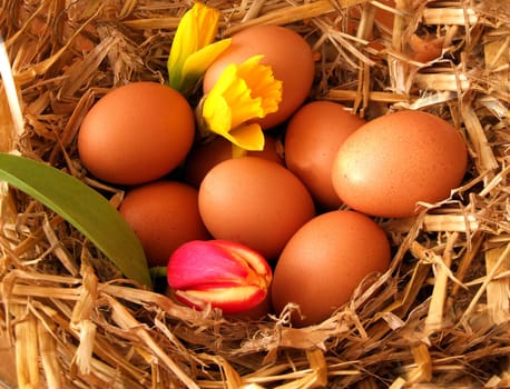 Easter Basket