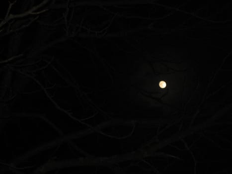 Darkness