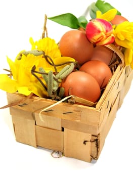 early Easter greeting
