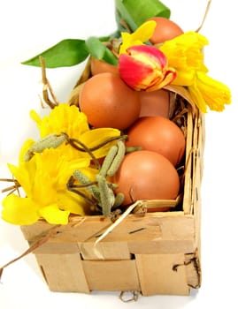 Easter Greetings