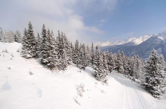 White as snow