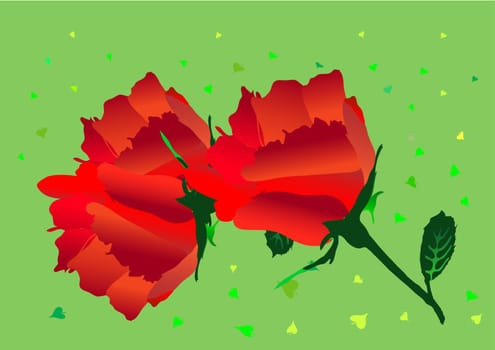 Red roses - vector