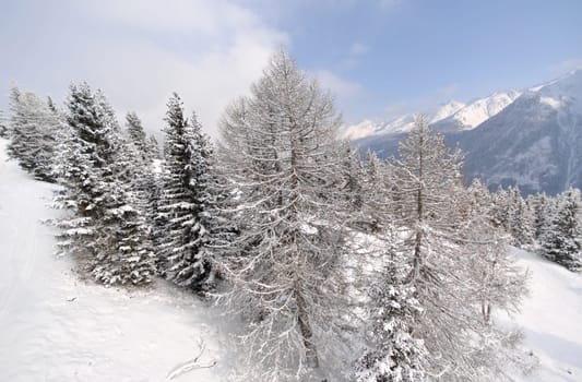White as snow