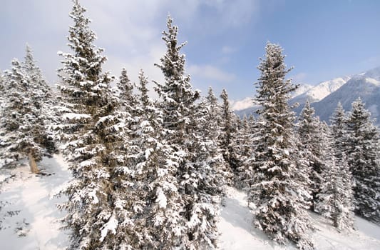 White as snow