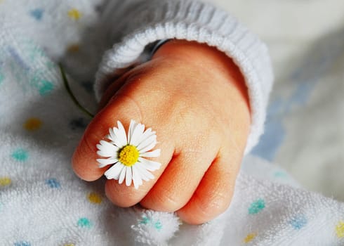 Baby Hand