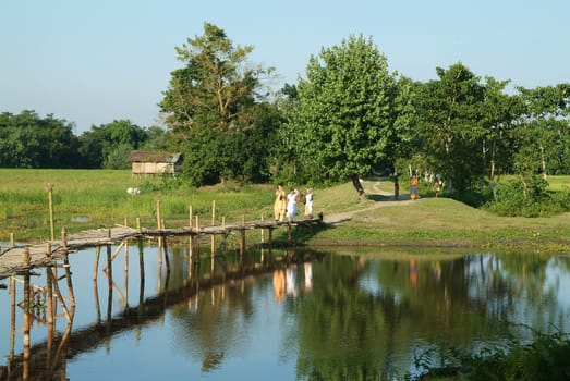 Bamboo Bridge on Majuli