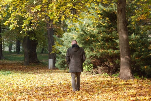 Autumn Walk I