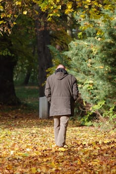 Autumn Walk II