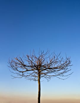 Alone