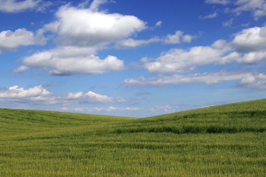 nature landscape or nature unspoiled or nature
