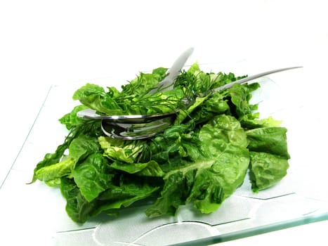 lettuce