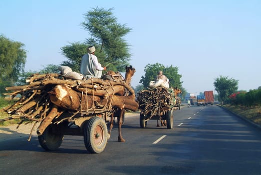 seen on the "highway"" between Delhi and Jajpur"