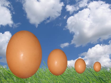 Four Eggs