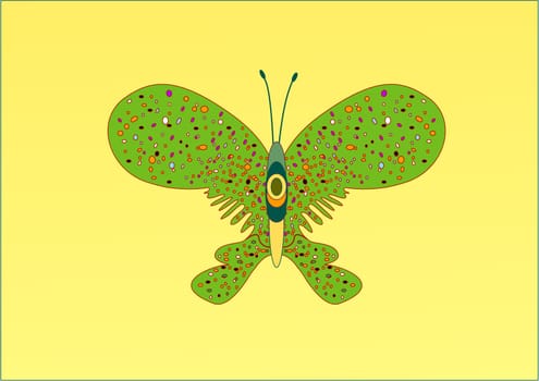 BUTTERFLY ILLUSTRATION