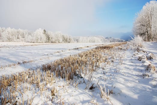Winter landscape in Germany